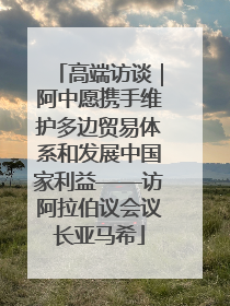 高端访谈｜阿中愿携手维护多边贸易体系和发展中国家利益——访阿拉伯议会议长亚马希