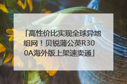 高性价比实现全球异地组网！贝锐蒲公英R300A海外版上架速卖通