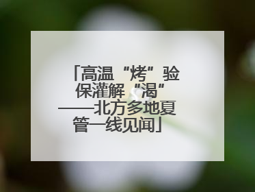 高温“烤”验 保灌解“渴”——北方多地夏管一线见闻
