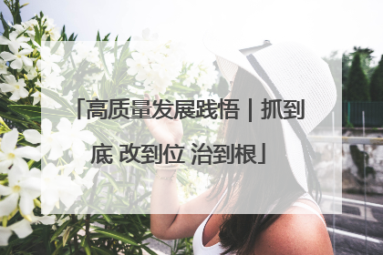 高质量发展践悟｜抓到底 改到位 治到根