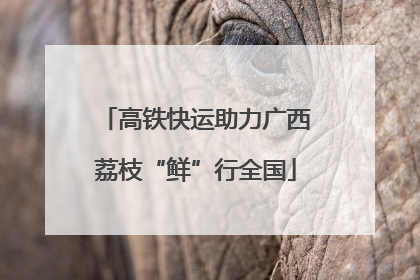 高铁快运助力广西荔枝“鲜”行全国