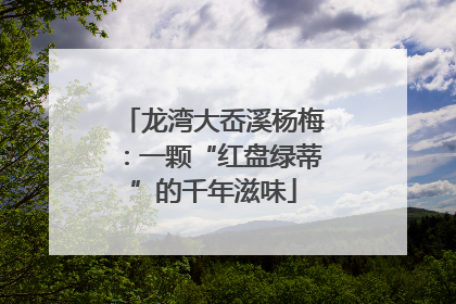 龙湾大岙溪杨梅：一颗“红盘绿蒂”的千年滋味