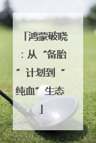 鸿蒙破晓：从“备胎”计划到“纯血”生态