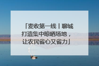 麦收第一线丨聊城打造集中晾晒场地，让农民省心又省力