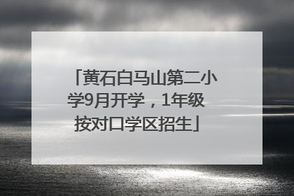 黄石白马山第二小学9月开学，1年级按对口学区招生
