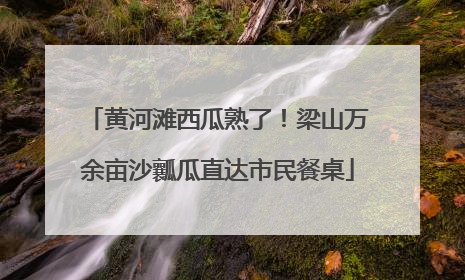 黄河滩西瓜熟了！梁山万余亩沙瓤瓜直达市民餐桌