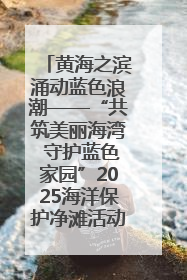 黄海之滨涌动蓝色浪潮——“共筑美丽海湾 守护蓝色家园”2025海洋保护净滩活动暨“美丽江苏—江河湖海青蓝行”海洋篇在连云港举行