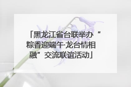 黑龙江省台联举办“粽香迎端午·龙台情相融”交流联谊活动