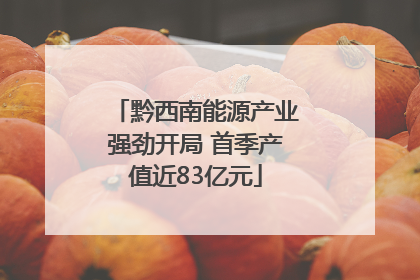 黔西南能源产业强劲开局 首季产值近83亿元