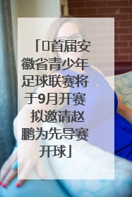 ﻿首届安徽省青少年足球联赛将于9月开赛 拟邀请赵鹏为先导赛开球