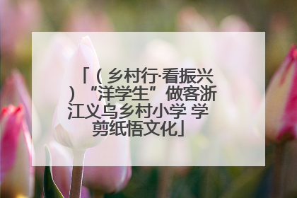 （乡村行·看振兴）“洋学生”做客浙江义乌乡村小学 学剪纸悟文化