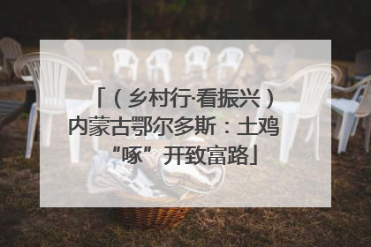 （乡村行·看振兴）内蒙古鄂尔多斯：土鸡“啄”开致富路