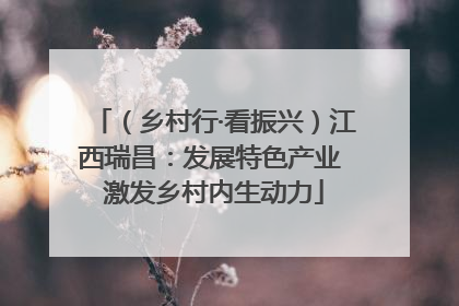 （乡村行·看振兴）江西瑞昌：发展特色产业 激发乡村内生动力