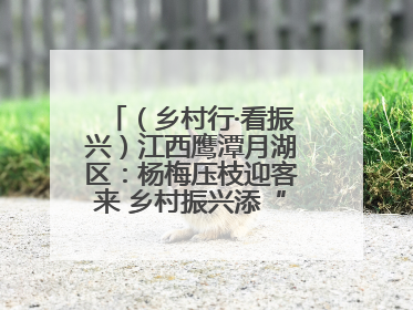（乡村行·看振兴）江西鹰潭月湖区：杨梅压枝迎客来 乡村振兴添“梅”景