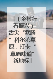 （乡村行·看振兴）舌尖“欢腾”科尔沁草原：打卡“草原味道”新地标
