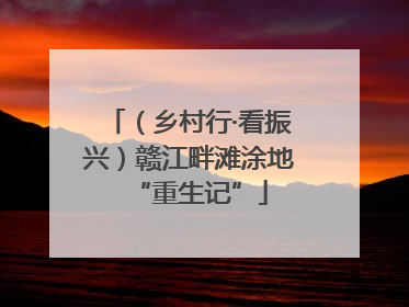 （乡村行·看振兴）赣江畔滩涂地“重生记”