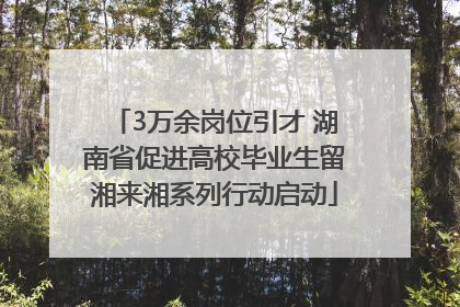 3万余岗位引才 湖南省促进高校毕业生留湘来湘系列行动启动