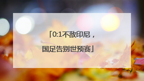0:1不敌印尼，国足告别世预赛
