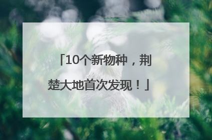 10个新物种，荆楚大地首次发现！