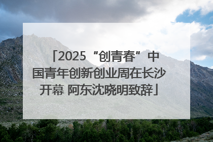 2025“创青春”中国青年创新创业周在长沙开幕 阿东沈晓明致辞