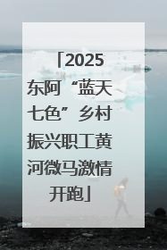 2025东阿“蓝天七色”乡村振兴职工黄河微马激情开跑