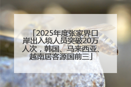 2025年度张家界口岸出入境人员突破20万人次，韩国、马来西亚、越南居客源国前三