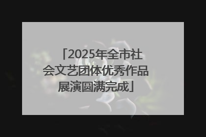 2025年全市社会文艺团体优秀作品展演圆满完成