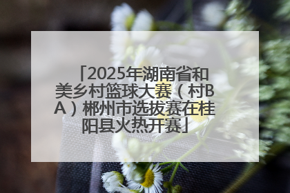 2025年湖南省和美乡村篮球大赛（村BA）郴州市选拔赛在桂阳县火热开赛