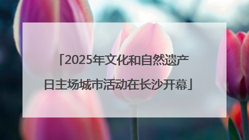 2025年文化和自然遗产日主场城市活动在长沙开幕