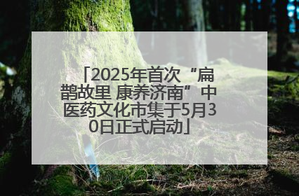 2025年首次“扁鹊故里 康养济南”中医药文化市集于5月30日正式启动
