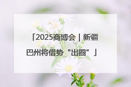 2025商博会｜新疆巴州将借势“出圈”