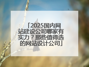 2025国内网站建设公司哪家有实力？那些值得选的网站设计公司