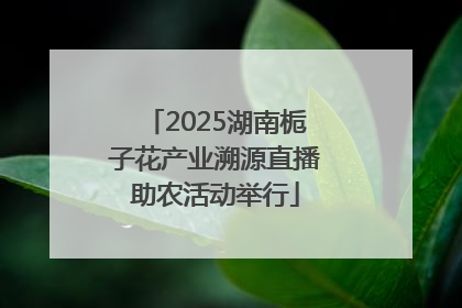 2025湖南栀子花产业溯源直播助农活动举行
