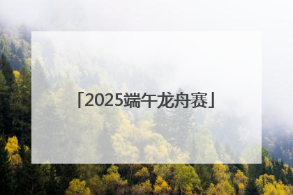 2025端午龙舟赛
