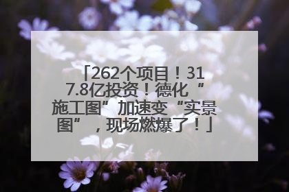 262个项目！317.8亿投资！德化“施工图”加速变“实景图”，现场燃爆了！
