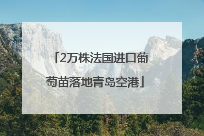 2万株法国进口葡萄苗落地青岛空港