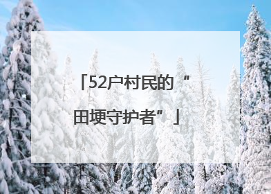 52户村民的“田埂守护者”