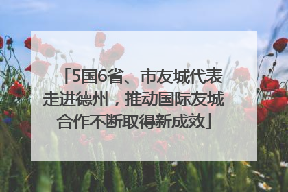 5国6省、市友城代表走进德州，推动国际友城合作不断取得新成效