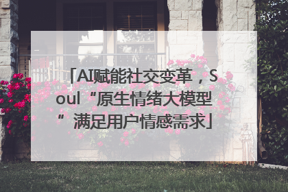 AI赋能社交变革，Soul“原生情绪大模型”满足用户情感需求