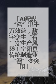 AI配煤“省”出千万效益，数字孪生“看”穿生产风险！宁阳县传统制造业“智”变突围
