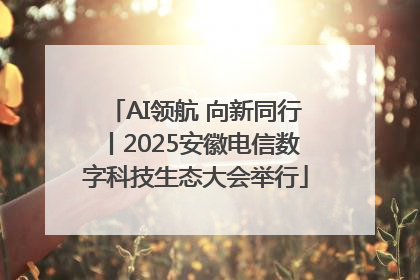 AI领航 向新同行丨2025安徽电信数字科技生态大会举行