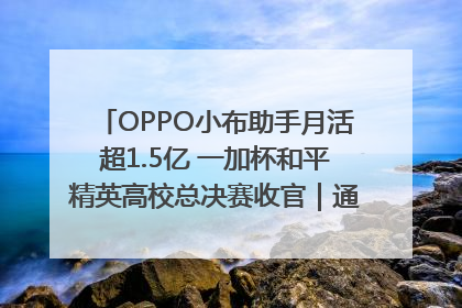 OPPO小布助手月活超1.5亿 一加杯和平精英高校总决赛收官｜通讯Plus·早报