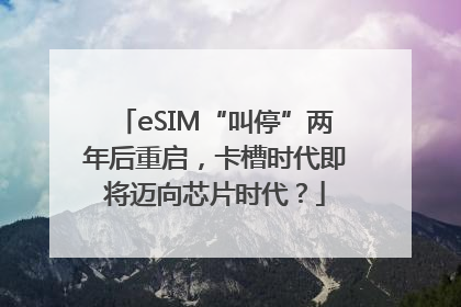 eSIM“叫停”两年后重启，卡槽时代即将迈向芯片时代？